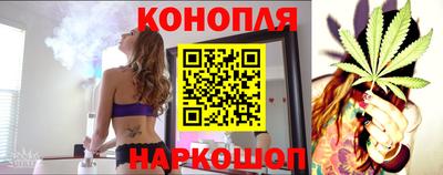 прущие крисы Будённовск