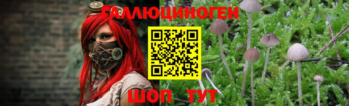 Псилоцибиновые грибы ЛСД Прохладный