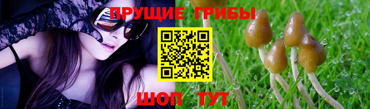 Галлюциногенные грибы прущие грибы  Вход с VPN  где купить наркоту  Прохладный 